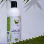 Raw & Organic Shea Butter Leave-In Treatment 500g