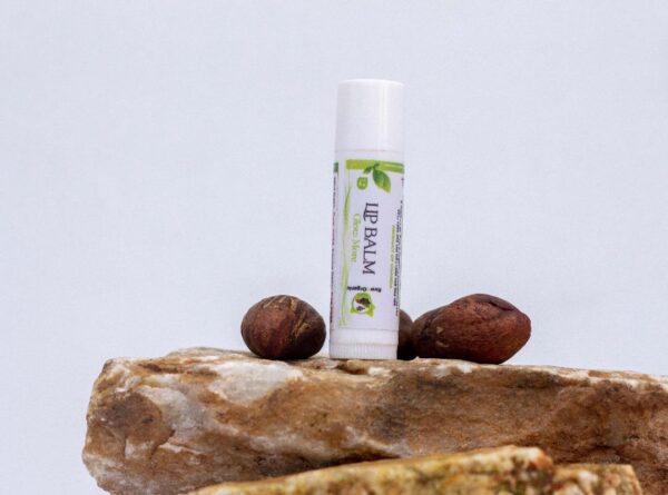 Raw & Organic Shea Butter Lip Balm 4g